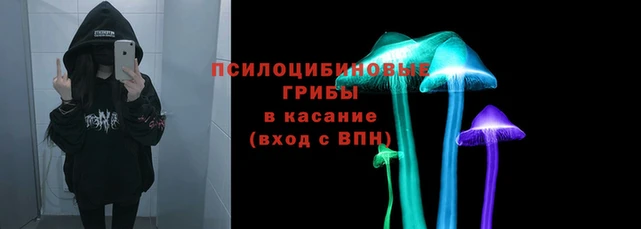 кокаин колумбия Белокуриха